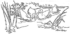樂(lè)壽食品